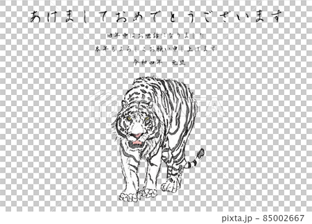 White tiger front color New Year horizontal White tiger front color New Year horizontal 85002667