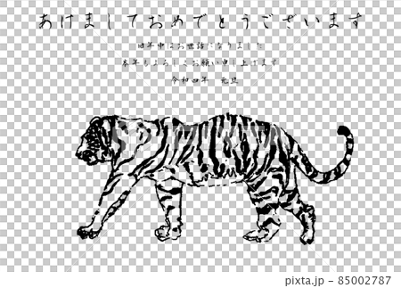 ホワイトタイガー横ベクターモノクロあけましてヨコ ホワイトタイガー横ベクターモノクロあけましてヨコ 85002787