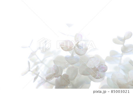 銀製の器に入った白い花／アンティーク 85003021