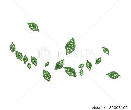 Mint leaf vector 85003105
