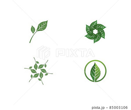 Mint leaf vector 85003106