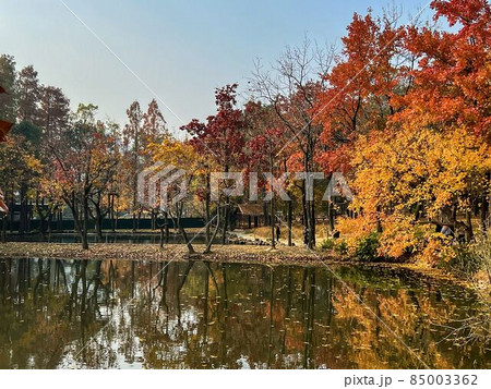 【中国・蘇州】天平山の紅葉(秋) 【中国・蘇州】天平山の紅葉(秋) 85003362