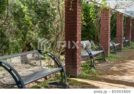 庭園の遊歩道 85003800