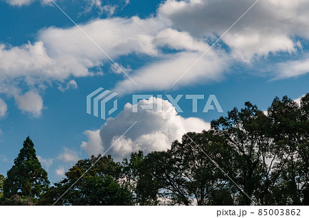 青空と雲 85003862