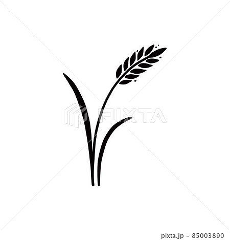 Wheat, barley, rice icon. Hand drawn 85003890