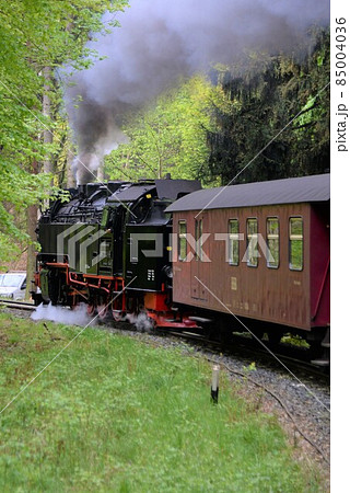 ハルツ狭軌鉄道 ブロッケン山を目指し力走 ハルツ狭軌鉄道 ブロッケン山を目指し力走 85004036