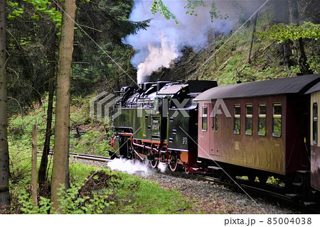 ハルツ狭軌鉄道 ブロッケン山を目指し力走 ハルツ狭軌鉄道 ブロッケン山を目指し力走 85004038