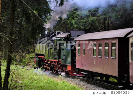 ハルツ狭軌鉄道 ブロッケン山を目指し力走 ハルツ狭軌鉄道 ブロッケン山を目指し力走 85004039