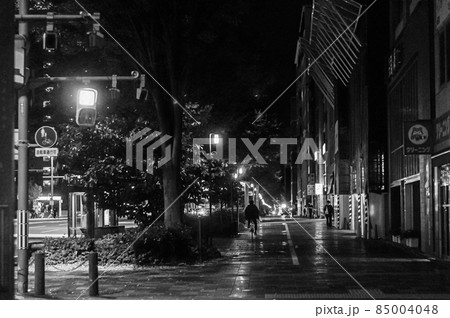 雨上がりの歩道 85004048