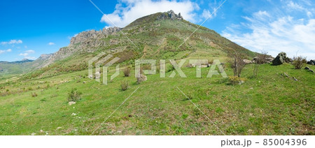 Horses at a mountain foot Horses at a mountain foot 85004396