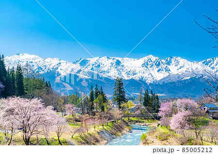 白馬村の春 大出の吊橋【長野県】 白馬村の春 大出の吊橋【長野県】 85005212