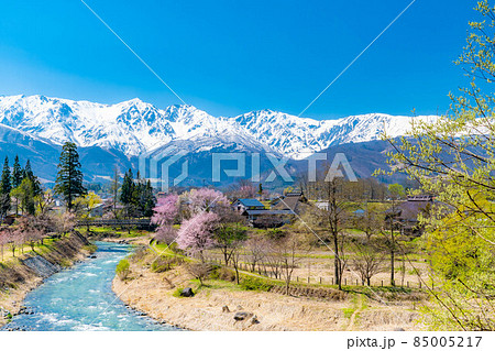 白馬村の春　大出の吊橋【長野県】 85005217