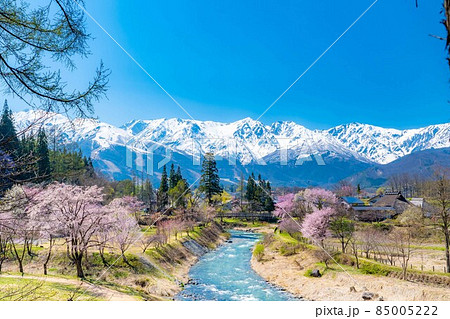 白馬村の春　大出の吊橋【長野県】 85005222