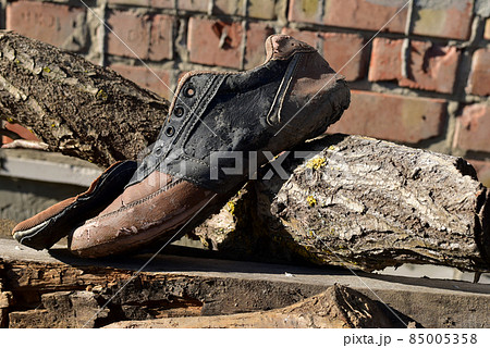 An old torn sneaker lies on the wood. An old torn sneaker lies on the wood. 85005358