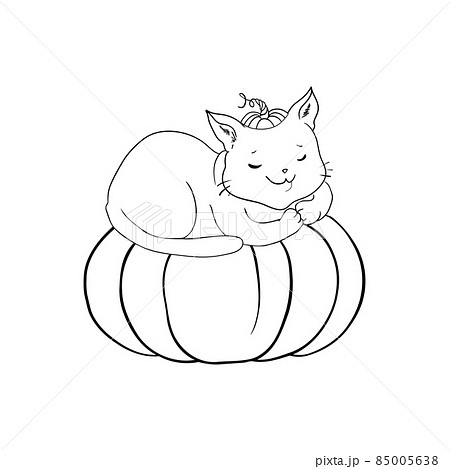 Cat is sitting on the pumpkin isolated on white. Vector illustration. 85005638