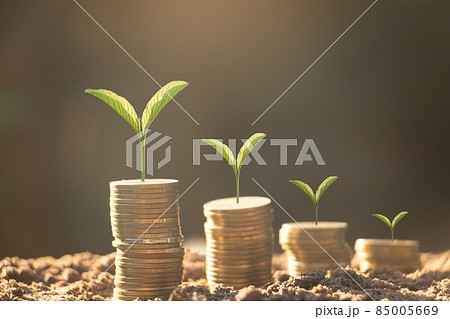 Growing plant and coin.Growing plant on coins for business investment.banknotes,exchange, finance Growing plant and coin.Growing plant on coins for business investment.banknotes,exchange, finance 85005669