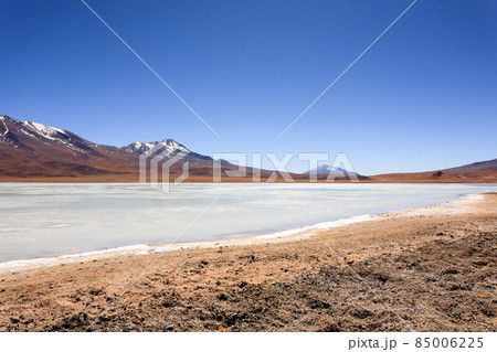 Laguna Hedionda view, Bolivia 85006225