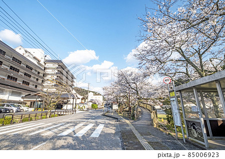 三朝温泉 春 桜 三朝温泉 春 桜 85006923