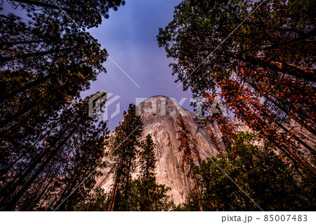 El Capitan, Yosemite national park El Capitan, Yosemite national park 85007483