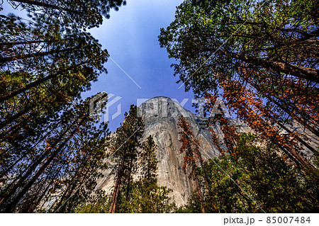 El Capitan, Yosemite national park El Capitan, Yosemite national park 85007484