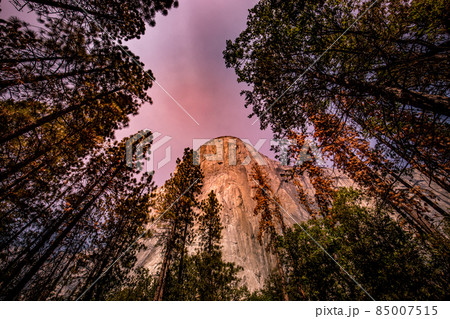 El Capitan, Yosemite national park El Capitan, Yosemite national park 85007515