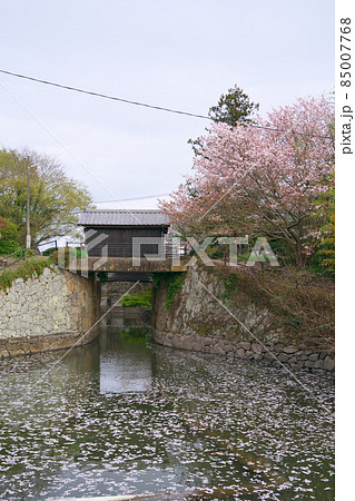 【世界かんがい施設遺産】倉安川・百間川かんがい遺産群の倉安川水門と桜と花曇りの空 岡山県岡山市東区 【世界かんがい施設遺産】倉安川・百間川かんがい遺産群の倉安川水門と桜と花曇りの空 岡山県岡山市東区 85007768