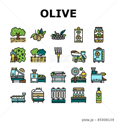 Olive Production And Harvesting Icons Set Vector 85008139