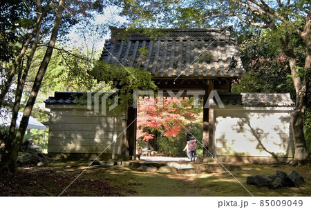 徳川秀忠正妻江が幼少期を過ごした城の隣にあるお寺 85009049