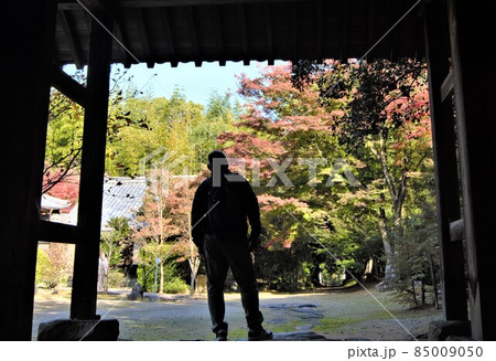 円光寺の紅葉を見るおじさん 85009050