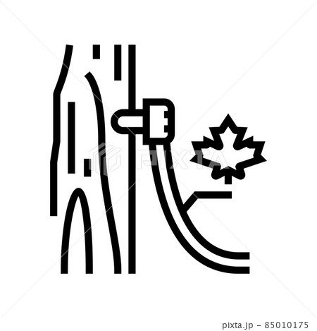 maple sap collection, using tubing method line icon vector illustration 85010175