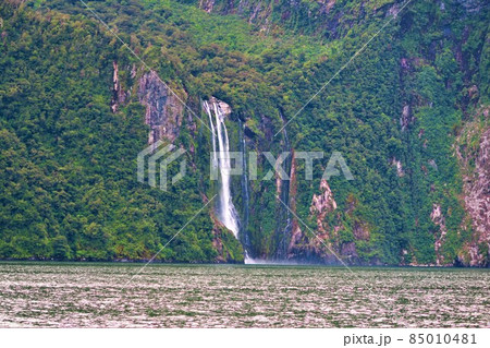 フィヨルドランド国立公園のミルフォードサウンド 85010481