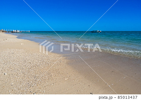 新原ビーチ 85013437