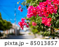 ブーゲンビリアと沖縄の空 85013857