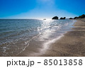 逆光の新原ビーチ 85013858