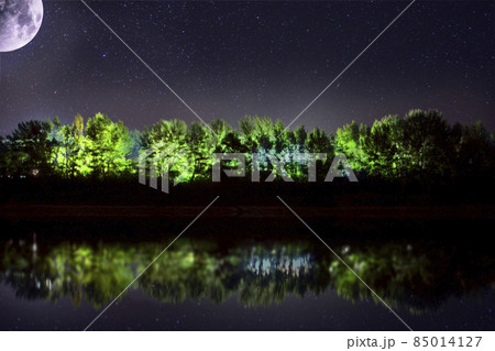 The night sky with the moon on the background of the forest. Space for copying text 85014127