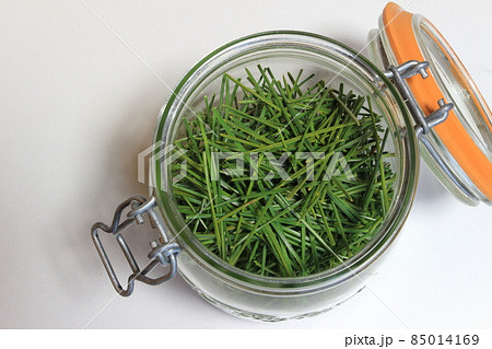 無農薬の松で手作り松葉茶 無農薬の松で手作り松葉茶 85014169
