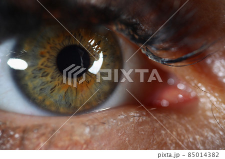 Womans eye with mascara on it, extreme macro shot of female sight organ Womans eye with mascara on it, extreme macro shot of female sight organ 85014382