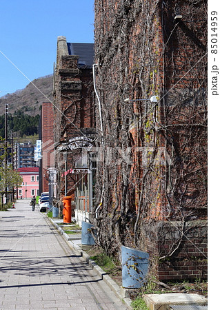 北海道　函館　丸ポストのある風景（はこだて明治館前） 85014959