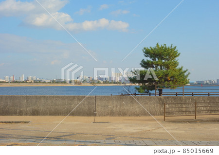 甲子園浜海浜公園 甲子園浜海浜公園 85015669
