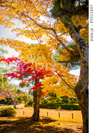 秋の毛利氏庭園【山口県防府市】 秋の毛利氏庭園【山口県防府市】 85015897