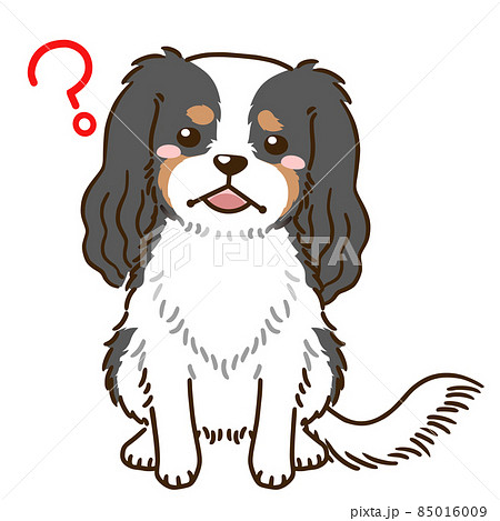 疑問に思うキャバリア トライカラー のイラスト素材