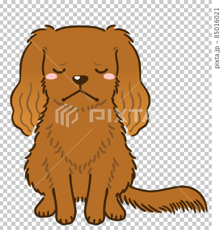 Depressed cavalier (ruby) Depressed cavalier (ruby) 85016021