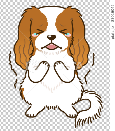 Frightened Cavalier (Blenheim) 85016043