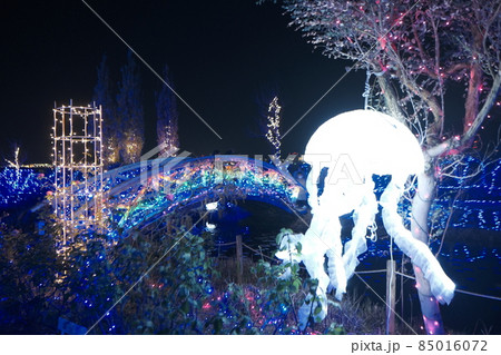 びわ湖大津館2021イルミネーション「妖精たちと幻想的な光の世界」 85016072