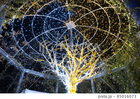 びわ湖大津館2021イルミネーション「妖精たちと幻想的な光の世界」 85016073