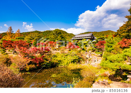 秋晴れの毛利氏庭園【山口県防府市】 85016136