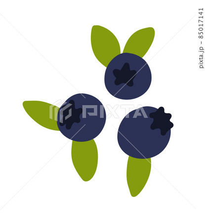 Blueberry. Doodle bilberry. Vector huckleberry food icon Blueberry. Doodle bilberry. Vector huckleberry food icon 85017141