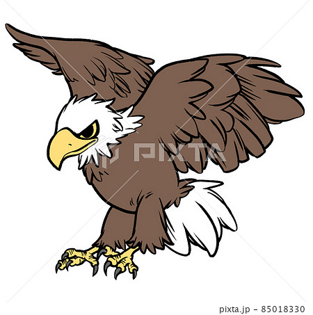Illustration Of Flying Hawk Stock Illustration