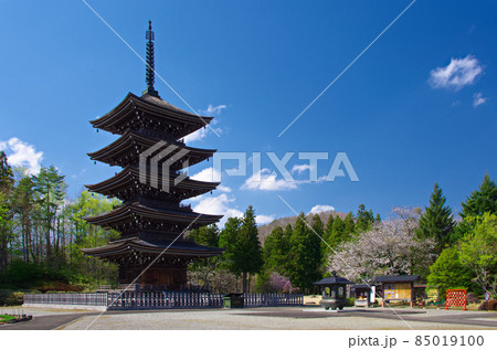 春の定義如来・五重塔（宮城県仙台市） 85019100