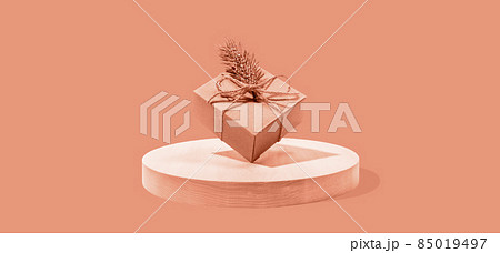 Xmas holiday composition with one DIY gift cardboard box balanced on round wooden stand. Trendy modern minimalism and balance image toned in Calming Coral. Festive greeting card. Copy space. 85019497